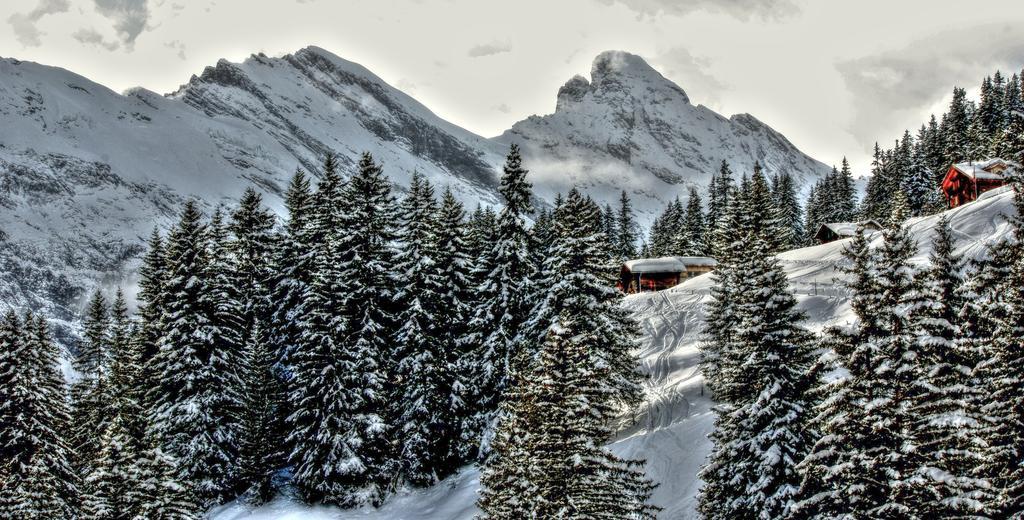 Hotel Alpina Mürren Exterior foto